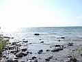 Western Michigan [2010] 814